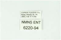 弧弄蝶藏品圖，第3張