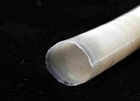 黃光象牙貝藏品圖，第4張