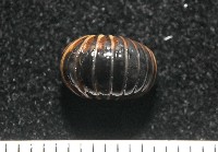 條紋木球馬陸藏品圖，第6張