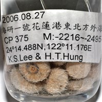 艾氏鋸海膽藏品圖，第20張