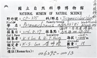 艾氏鋸海膽藏品圖，第22張