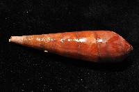 黑蜷藏品圖，第4張