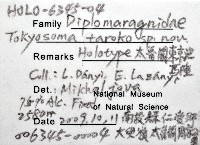 太魯閣東京泡馬陸藏品圖，第6張