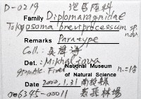 新種東京泡馬陸藏品圖，第6張