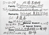 異東京泡馬陸藏品圖，第6張