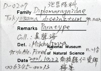 異東京泡馬陸藏品圖，第6張