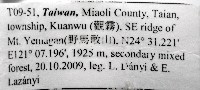 棘刺東京泡馬陸藏品圖，第7張