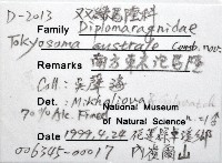 南方東京泡馬陸藏品圖，第6張