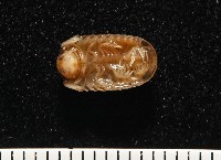 雙色木球馬陸藏品圖，第6張