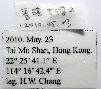 雙色木球馬陸藏品圖，第11張