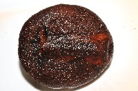 心形海壺藏品圖，第3張
