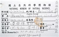 心形海壺藏品圖，第14張