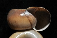 登錄號:006501-00001藏品圖，第2張