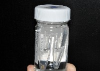 威廉小藤壺藏品圖，第1張