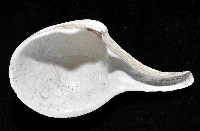 大杓蛤藏品圖，第4張