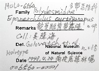 截莖雕背帶馬陸藏品圖，第6張