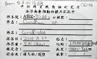新種臺灣紅珊瑚藏品圖，第11張