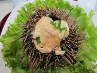 海刺蝟藏品圖，第11張