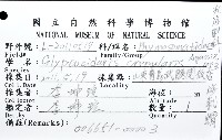 海刺蝟藏品圖，第12張