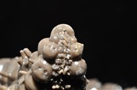 玉緣棘角海星(紫氏麗海星)藏品圖，第15張