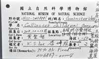 玉緣棘角海星(紫氏麗海星)藏品圖，第16張