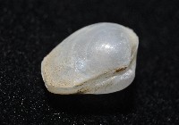 登錄號:006900-00010藏品圖，第3張