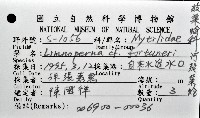 河殼菜蛤藏品圖，第8張