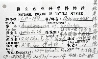 深海粗蛇尾藏品圖，第8張