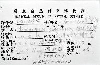肉球近方蟹藏品圖，第8張