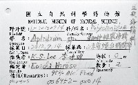 未知種短腹海鞘藏品圖，第9張