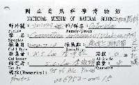 近江牡蠣藏品圖，第4張