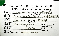 鋸齒牡蠣藏品圖，第8張