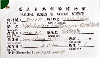 紐西蘭鮑螺藏品圖，第12張