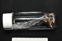 新種臺灣姬馬陸藏品圖，第7張