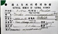 半扭魁蛤藏品圖，第8張