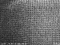 白玉蝸牛藏品圖，第2張