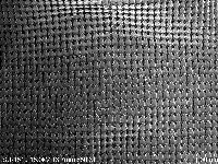 白玉蝸牛藏品圖，第2張