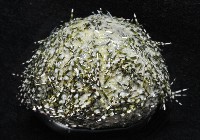 雜色角孔海膽藏品圖，第3張