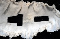 大盤扁蟲藏品圖，第4張