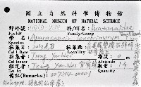 光齒非擬原足蟲藏品圖，第1張