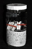 光齒非擬原足蟲藏品圖，第3張