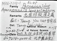 光齒非擬原足蟲藏品圖，第1張
