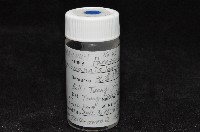 光齒非擬原足蟲藏品圖，第6張