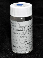 光齒非擬原足蟲藏品圖，第6張