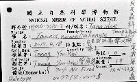 東界原足蟲藏品圖，第1張