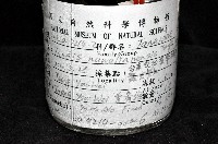 東界原足蟲藏品圖，第2張