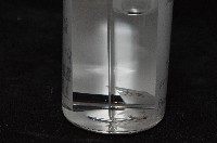 東界原足蟲藏品圖，第7張