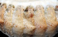 鱗紋石鱉藏品圖，第5張