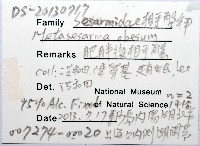 肥胖後相手蟹藏品圖，第8張