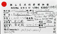 桂冠花冠螺藏品圖，第11張